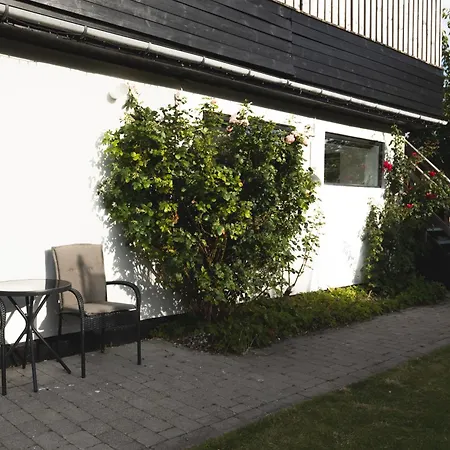 Scandinavian Garden Studio, Workspace, Free Bikes